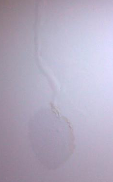 墻內(nèi)水管漏水怎么辦呢？